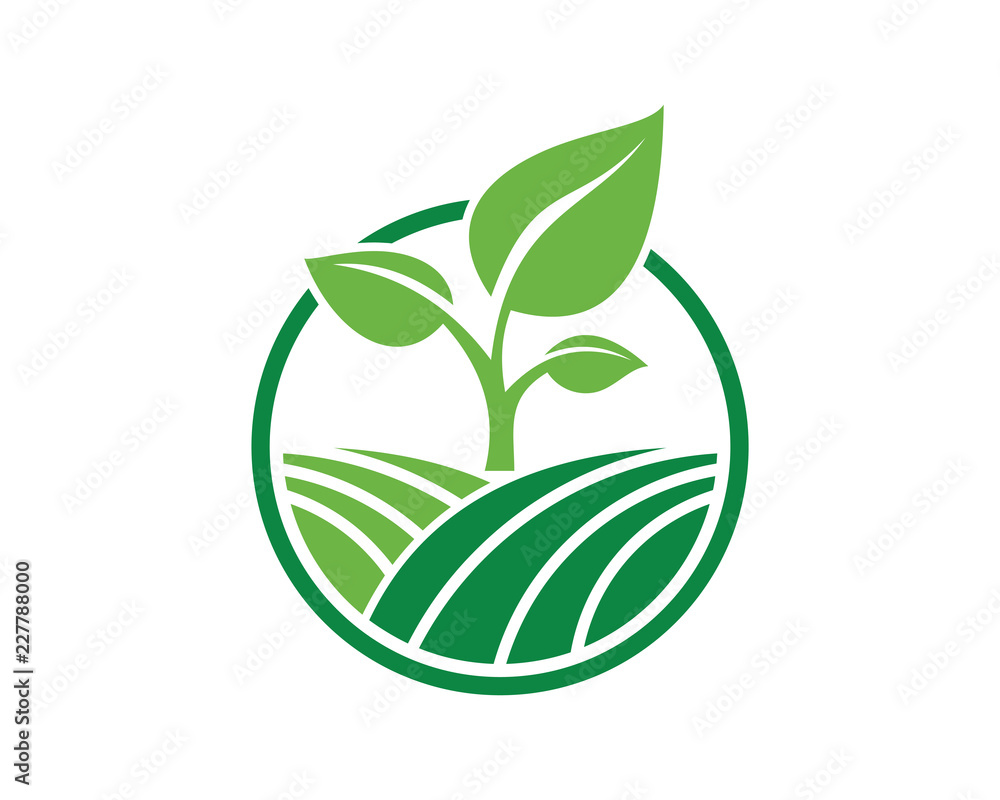 Farm 2